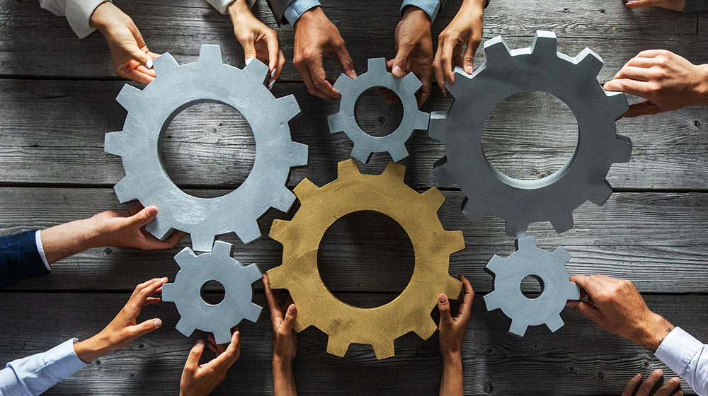 Cultural Alignment With Your Team
