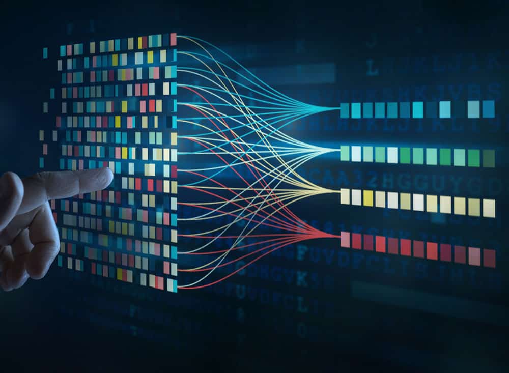 Streamlined Access to Critical Information and Network Management